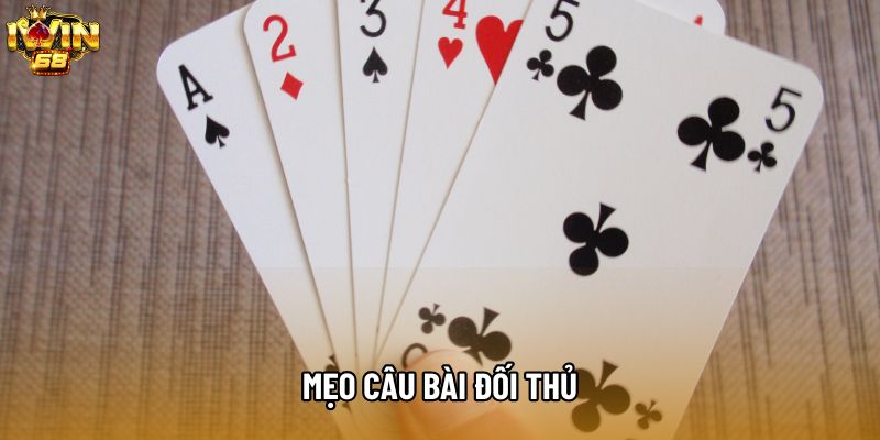 Mẹo câu bài đối thủ